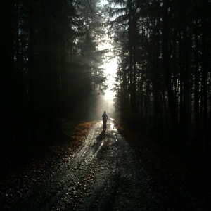 Waldlauf